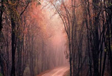 2024年世界定向排位赛在舟山开赛人民日报客户端体育频道.