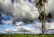 2024-2025赛季中国冰壶联赛收官2025-03-11.