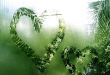 1-4惨负阿根廷3天后巴西换帅！解雇62岁本土教头 将聘请外籍名帅.