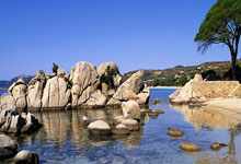 01-02赛季NBA全明星赛.